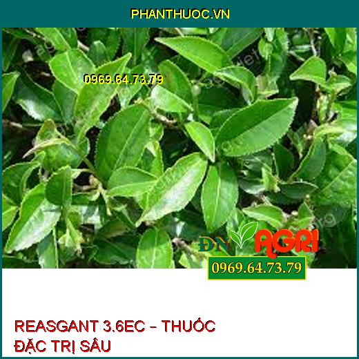 REASGANT 3.6EC – THUỐC ĐẶC TRỊ SÂU