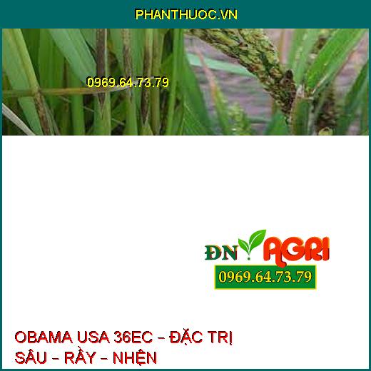 OBAMA USA 36EC – ĐẶC TRỊ SÂU – RẦY – NHỆN