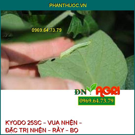 KYODO 25SC – VUA NHỆN – ĐẶC TRỊ NHỆN – RẦY – BỌ TRĨ