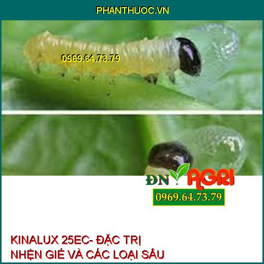 KINALUX 25EC- ĐẶC TRỊ NHỆN GIÉ VÀ CÁC LOẠI SÂU