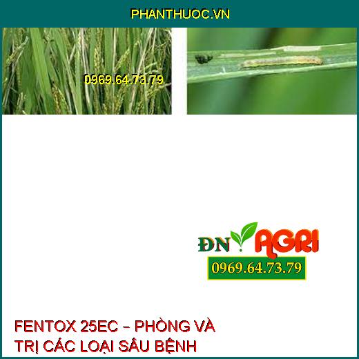 FENTOX 25EC – PHÒNG VÀ TRỊ CÁC LOẠI SÂU BỆNH