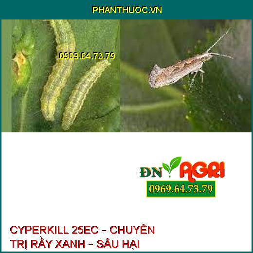 CYPERKILL 25EC – CHUYÊN TRỊ RẦY XANH – SÂU HẠI