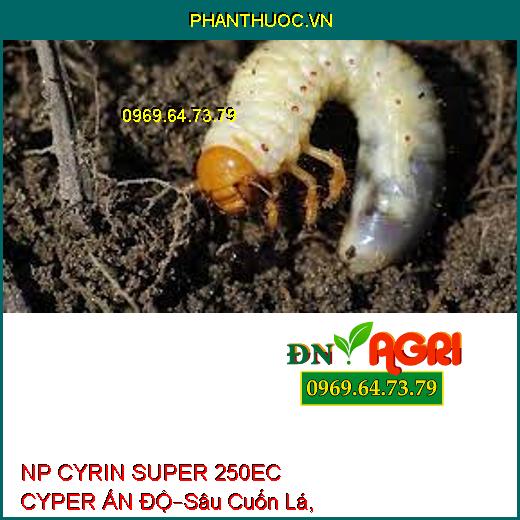 NP CYRIN SUPER 250EC CYPER ẤN ĐỘ–Sâu Cuốn Lá, Sâu Xa