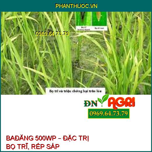 BAĐĂNG 500WP – ĐẶC TRỊ BỌ TRĨ, RẾP SÁP