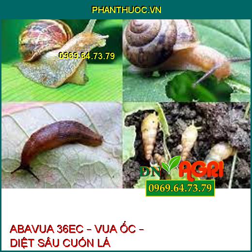 ABAVUA 36EC – VUA ỐC – DIỆT SÂU CUỐN LÁ