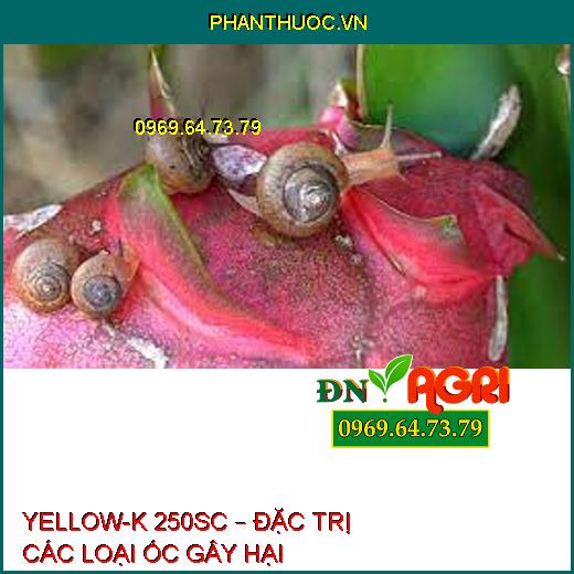 YELLOW-K 250SC – ĐẶC TRỊ CÁC LOẠI ỐC GÂY HẠI