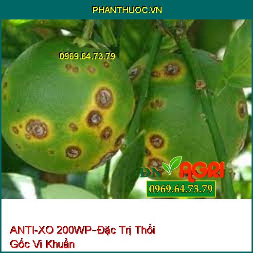 ANTI-XO 200WP–Đặc Trị Thối Gốc Vi Khuẩn