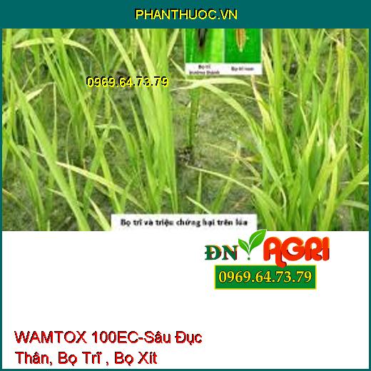 WAMTOX 100EC-Sâu Đục Thân, Bọ Trĩ , Bọ Xít