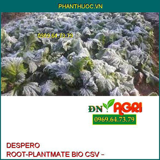 DESPERO ROOT-PLANTMATE BIO CSV – Đâm Chồi,Nuôi Quả