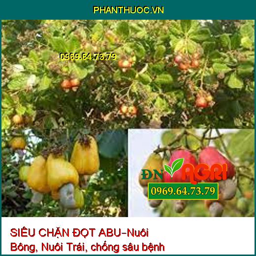 SIÊU CHẶN ĐỌT ABU–Nuôi Bông, Nuôi Trái, chống sâu bệnh