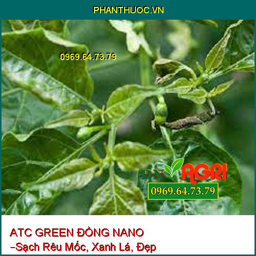 ATC GREEN ĐỒNG NANO –Sạch Rêu Mốc, Xanh Lá, Đẹp Trái