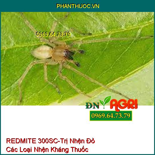 REDMITE 300SC-Trị Nhện Đỏ Các Loại Nhện Kháng Thuốc