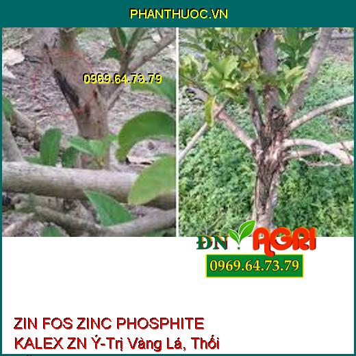 ZIN FOS ZINC PHOSPHITE KALEX ZN Ý-Trị Vàng Lá, Thối Rễ