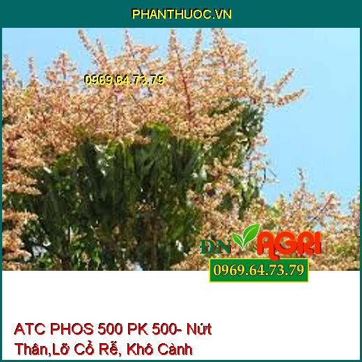 ATC PHOS 500 PK 500- Nứt Thân,Lỡ Cổ Rễ, Khô Cành