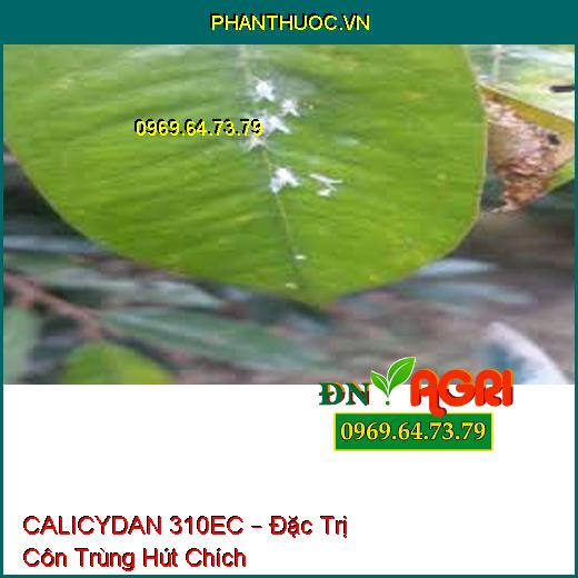 CALICYDAN 310EC – Đặc Trị Côn Trùng Hút Chích