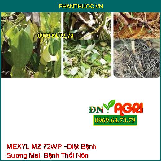 MEXYL MZ 72WP –Diệt Bệnh Sương Mai, Bệnh Thỗi Nõn