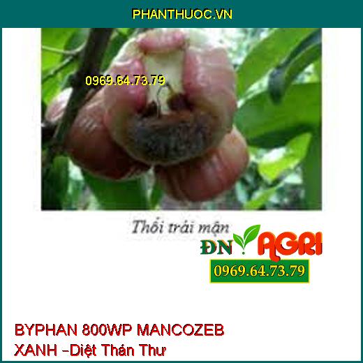 BYPHAN 800WP MANCOZEB XANH –Diệt Phấn Trắng, thán thư