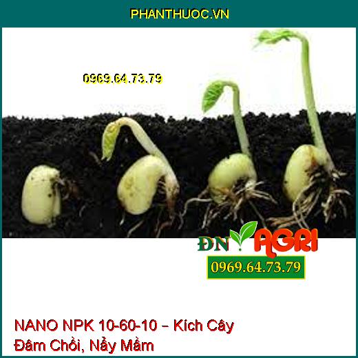 NANO NPK 10-60-10 – Kích Cây Đâm Chồi, Nẩy Mầm