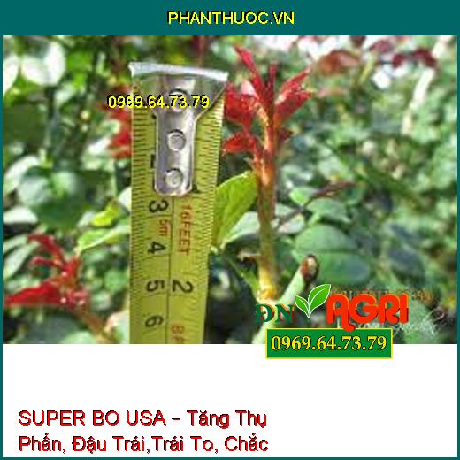 SUPER BO USA – Tăng Thụ Phấn, Đậu Trái,Trái To, Chắc Hạt