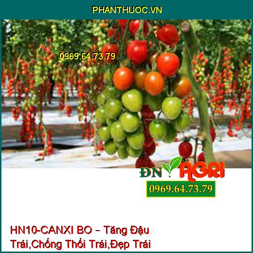 HN10-CANXI BO – Tăng Đậu Trái,Chống Thối Trái,Đẹp Trái