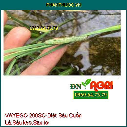 VAYEGO 200SC-Diệt Sâu Cuốn Lá,Sâu keo,Sâu tơ