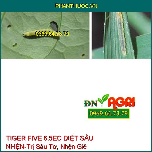 TIGER FIVE 6.5EC DIỆT SÂU NHỆN-Trị Sâu Tơ, Nhện Gié