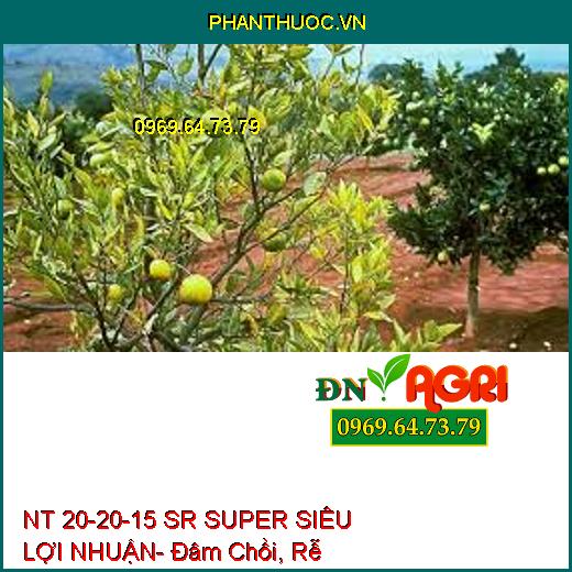 NT 20-20-15 SR SUPER SIÊU LỢI NHUẬN- Đâm Chồi, Rễ