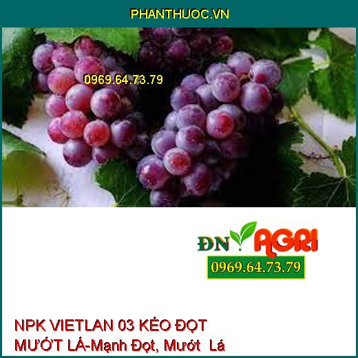 NPK VIETLAN 03 KÉO ĐỌT MƯỚT LÁ-Mạnh Đọt, Mướt Lá