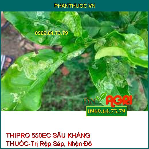 THIPRO 550EC SÂU KHÁNG THUỐC-Trị Rệp Sáp, Nhện Đỏ