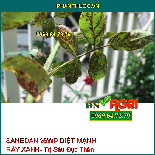 SANEDAN 95WP DIỆT MẠNH RẦY XANH- Trị Sâu Đục Thân