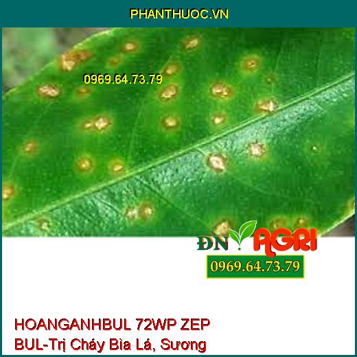 HOANGANHBUL 72WP ZEP BUL-Trị Cháy Bìa Lá, Sương Mai