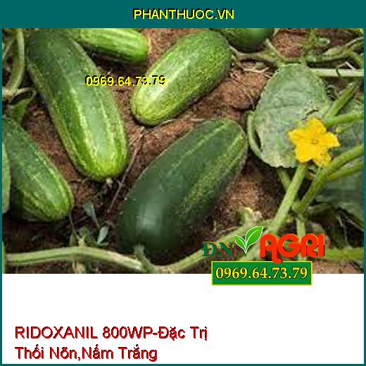 RIDOXANIL 800WP-Đặc Trị Thối Nõn,Nấm Trắng