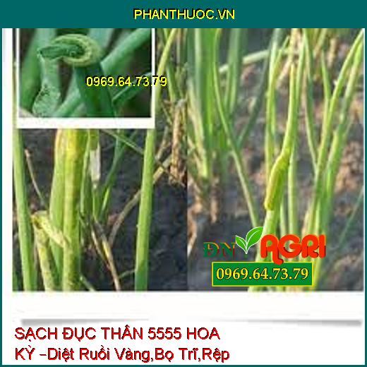 SẠCH ĐỤC THÂN 5555 HOA KỲ –Diệt Ruồi Vàng,Bọ Trĩ,Rệp cờ