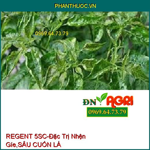 REGENT 5SC-Đặc Trị Nhện Gíe,SÂU CUỐN LÁ