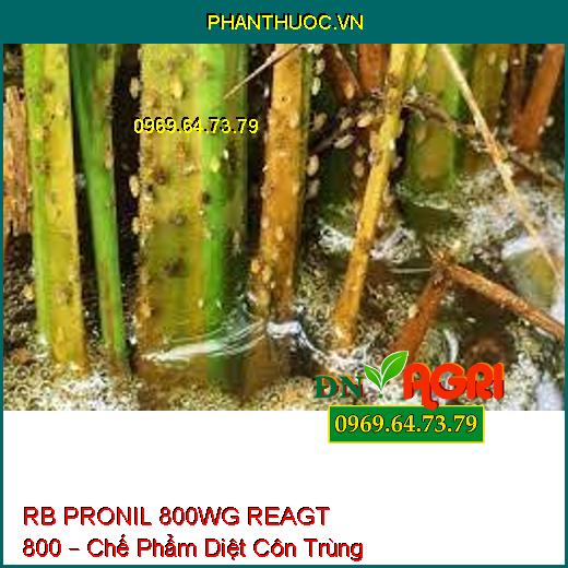 RB PRONIL 800WG REAGT 800 – Chế Phẩm Diệt Côn Trùng