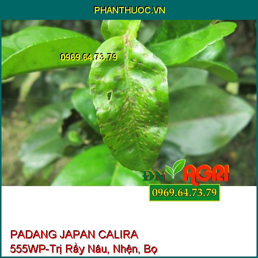 PADANG JAPAN CALIRA 555WP-Trị Rầy Nâu, Nhện, Bọ Trĩ