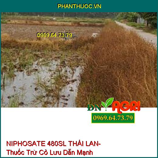 NIPHOSATE 480SL THÁI LAN- Thuốc Trừ Cỏ Lưu Dẫn Mạnh