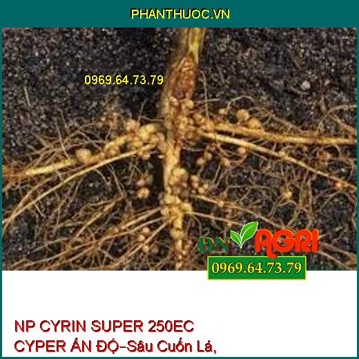 NP CYRIN SUPER 250EC CYPER ẤN ĐỘ–Sâu Cuốn Lá, Sâu Xa