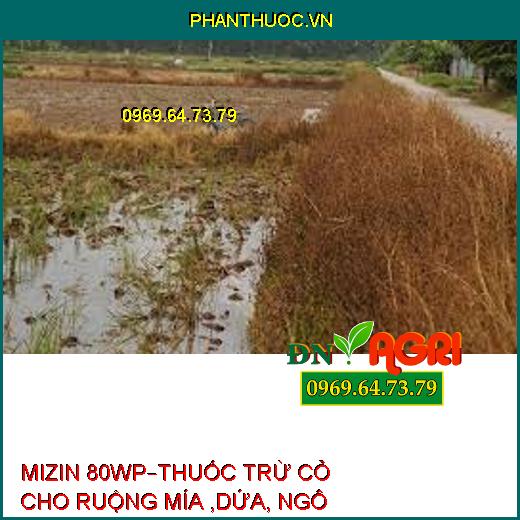 MIZIN 80WP–THUỐC TRỪ CỎ CHO RUỘNG MÍA ,DỨA, NGÔ