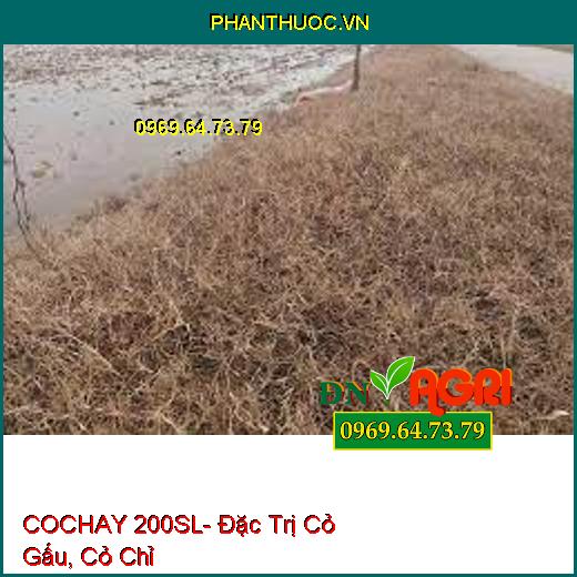 COCHAY 200SL- Đặc Trị Cỏ Gấu, Cỏ Chỉ