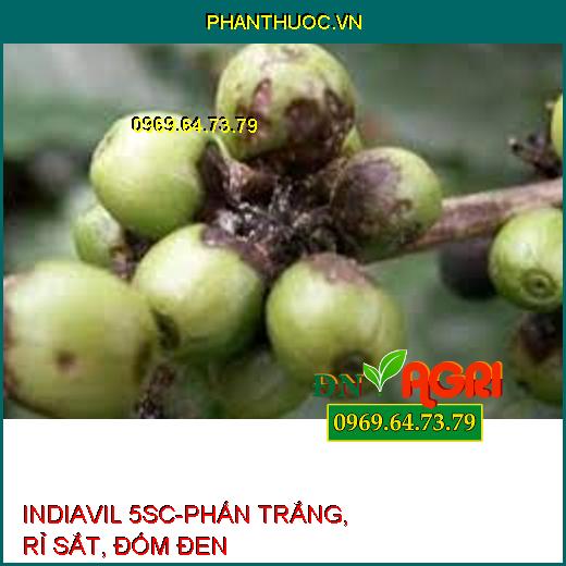 INDIAVIL 5SC-PHẤN TRẮNG, RỈ SẮT, ĐỐM ĐEN