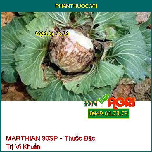 MARTHIAN 90SP – Thuốc Đặc Trị Vi Khuẩn