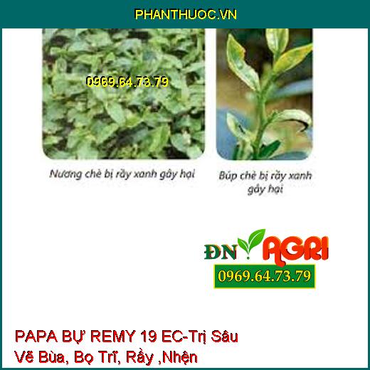 PAPA BỰ REMY 19 EC-Trị Sâu Vẽ Bùa, Bọ Trĩ, Rầy ,Nhện