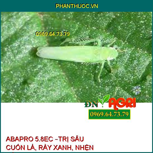 ABAPRO 5.8EC –TRỊ SÂU CUỐN LÁ, RẦY XANH, NHỆN ĐỎ