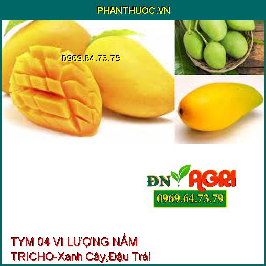 TYM 04 VI LƯỢNG NẤM TRICHO-Xanh Cây,Đậu Trái