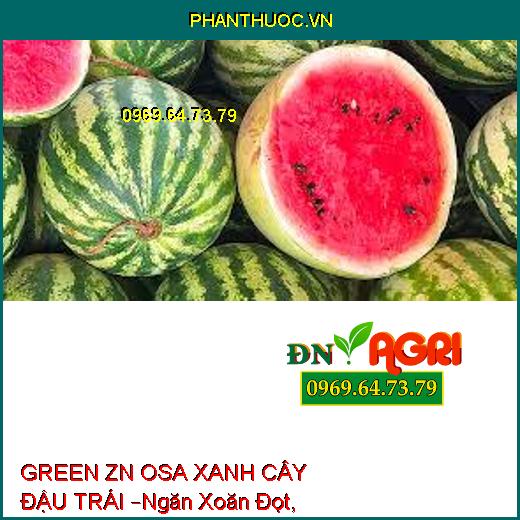 GREEN ZN OSA XANH CÂY ĐẬU TRÁI –Ngăn Xoăn Đọt, Kích To Trái