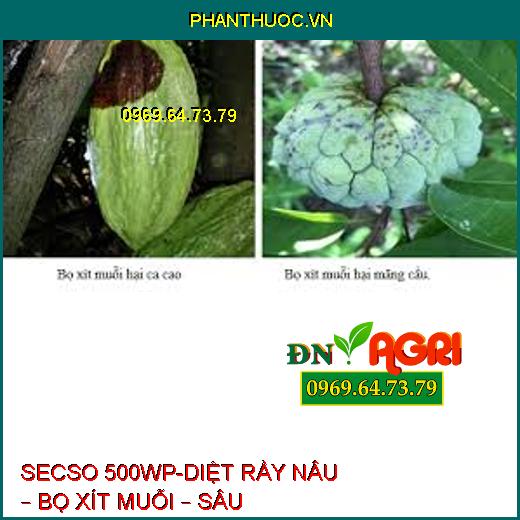 SECSO 500WP-DIỆT RẦY NÂU – BỌ XÍT MUỖI – SÂU KHOANG