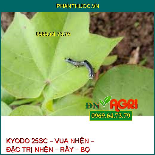 KYODO 25SC – VUA NHỆN – ĐẶC TRỊ NHỆN – RẦY – BỌ TRĨ