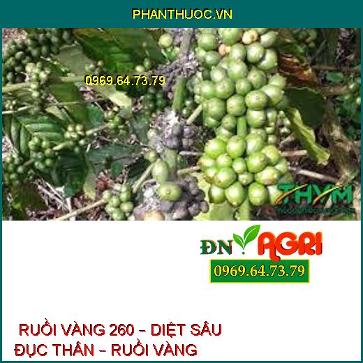  RUỒI VÀNG 260 – DIỆT SÂU ĐỤC THÂN – RUỒI VÀNG