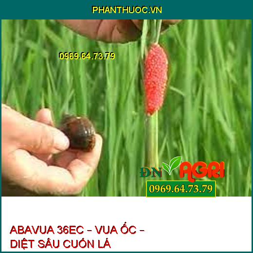 ABAVUA 36EC – VUA ỐC – DIỆT SÂU CUỐN LÁ